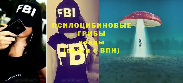 прущие крисы Новодвинск
