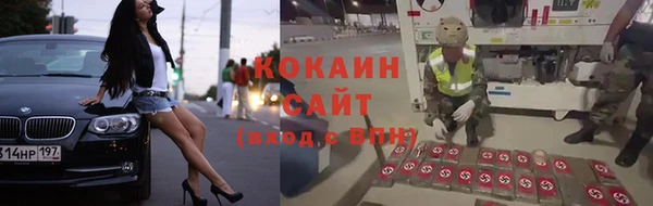 прущие крисы Новодвинск