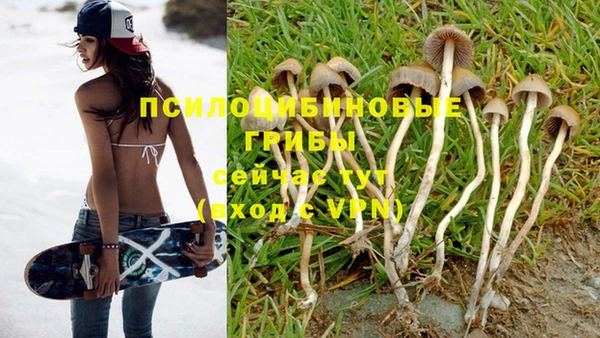 кокаин VHQ Новозыбков