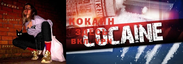 прущие крисы Новодвинск